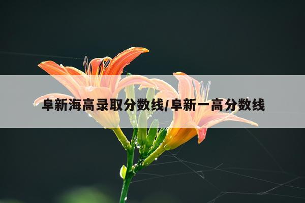阜新海高录取分数线/阜新一高分数线