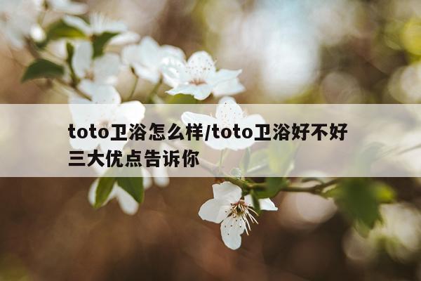 toto卫浴怎么样/toto卫浴好不好 三大优点告诉你