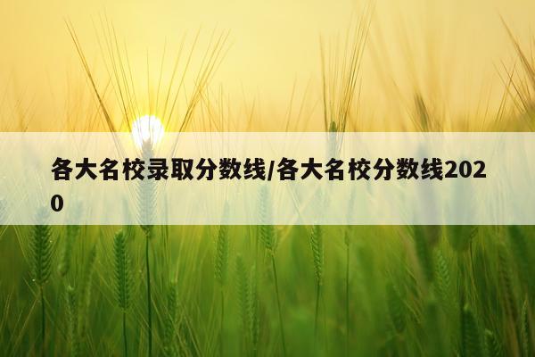各大名校录取分数线/各大名校分数线2020