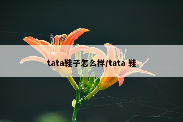 tata鞋子怎么样/tata 鞋