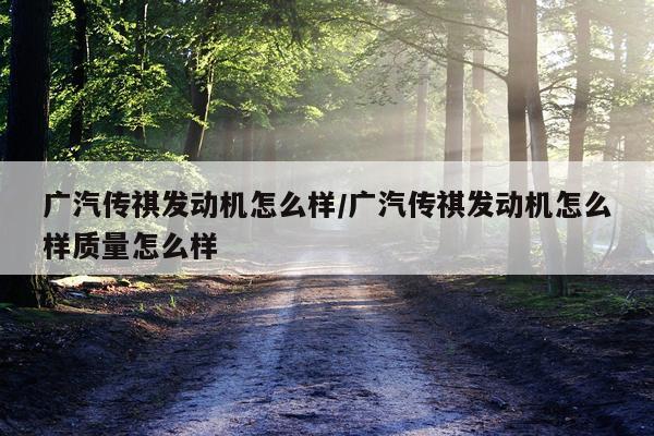 广汽传祺发动机怎么样/广汽传祺发动机怎么样质量怎么样