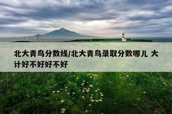 北大青鸟分数线/北大青鸟录取分数哪儿 大计好不好好不好