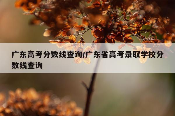 广东高考分数线查询/广东省高考录取学校分数线查询