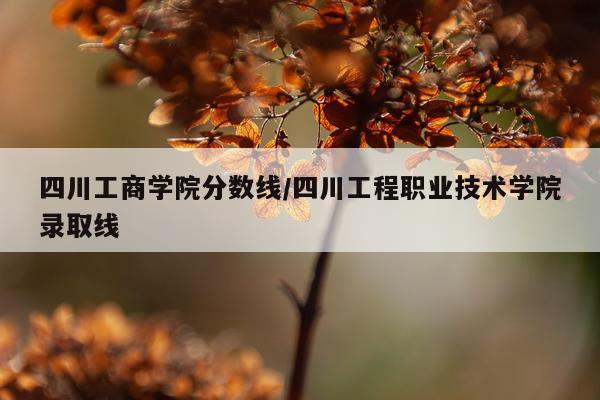 四川工商学院分数线/四川工程职业技术学院录取线