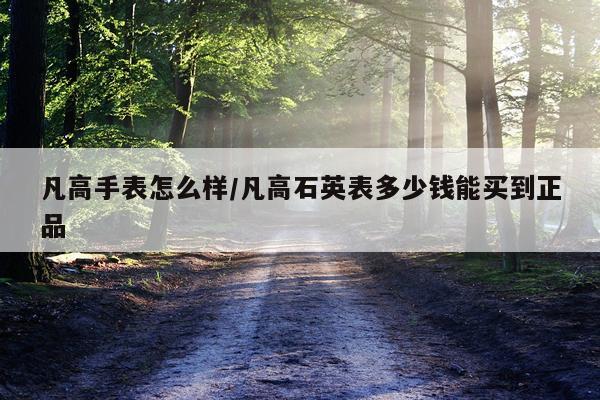 凡高手表怎么样/凡高石英表多少钱能买到正品