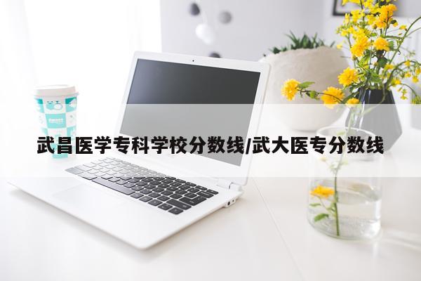 武昌医学专科学校分数线/武大医专分数线