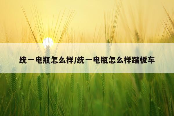 统一电瓶怎么样/统一电瓶怎么样踏板车