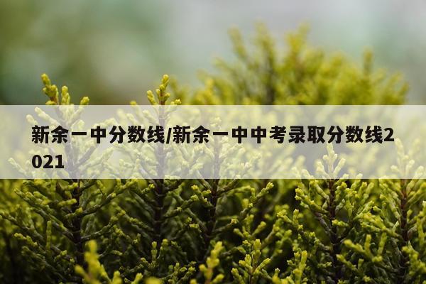 新余一中分数线/新余一中中考录取分数线2021