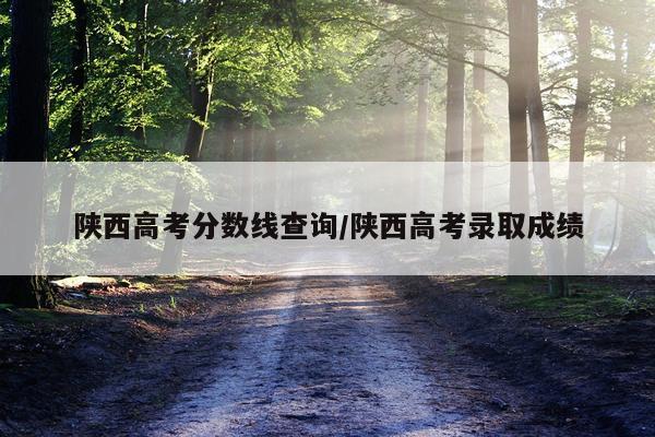 陕西高考分数线查询/陕西高考录取成绩
