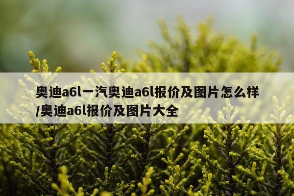 奥迪a6l一汽奥迪a6l报价及图片怎么样/奥迪a6l报价及图片大全