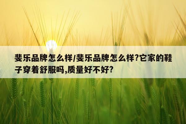 斐乐品牌怎么样/斐乐品牌怎么样?它家的鞋子穿着舒服吗,质量好不好?