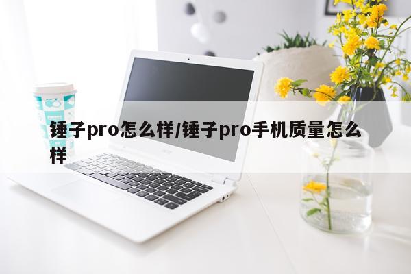 锤子pro怎么样/锤子pro手机质量怎么样