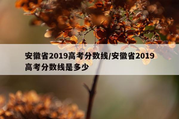 安徽省2019高考分数线/安徽省2019高考分数线是多少