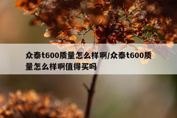 众泰t600质量怎么样啊/众泰t600质量怎么样啊值得买吗