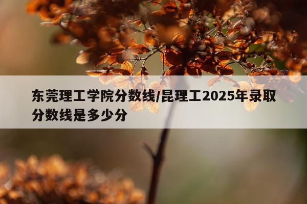东莞理工学院分数线/昆理工2025年录取分数线是多少分