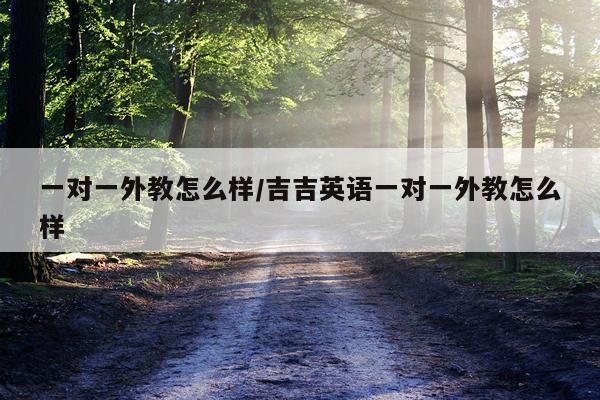 一对一外教怎么样/吉吉英语一对一外教怎么样