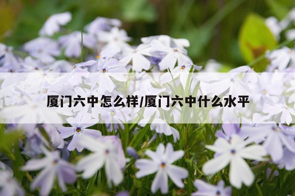 厦门六中怎么样/厦门六中什么水平