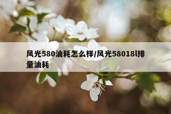风光580油耗怎么样/风光58018l排量油耗
