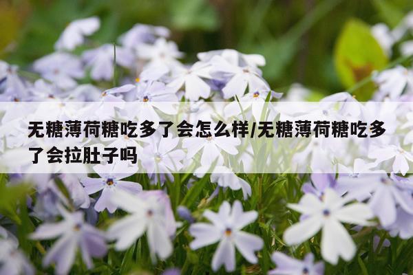 无糖薄荷糖吃多了会怎么样/无糖薄荷糖吃多了会拉肚子吗