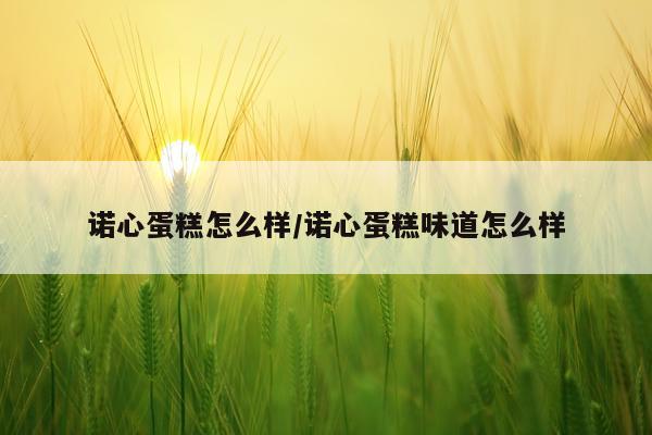 诺心蛋糕怎么样/诺心蛋糕味道怎么样