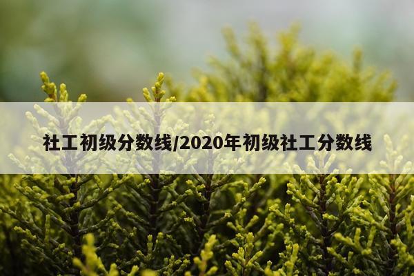 社工初级分数线/2020年初级社工分数线