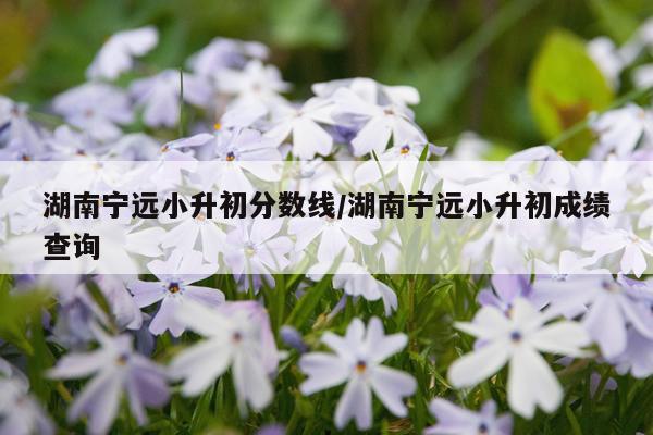 湖南宁远小升初分数线/湖南宁远小升初成绩查询