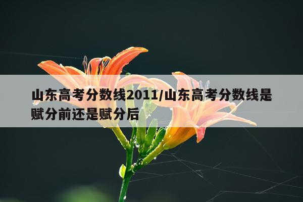 山东高考分数线2011/山东高考分数线是赋分前还是赋分后