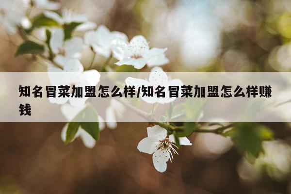 知名冒菜加盟怎么样/知名冒菜加盟怎么样赚钱