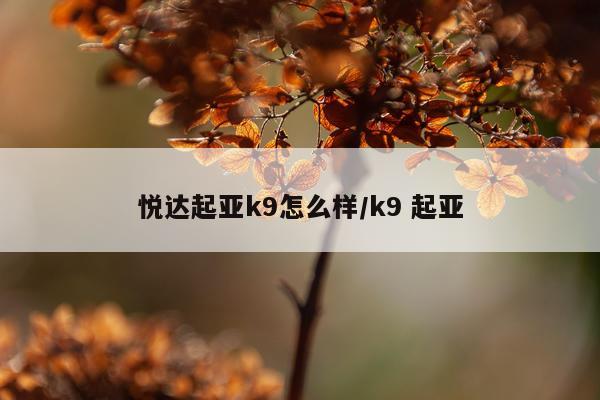 悦达起亚k9怎么样/k9 起亚