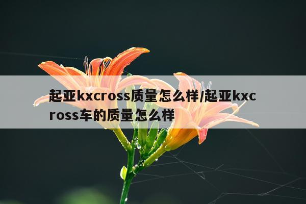 起亚kxcross质量怎么样/起亚kxcross车的质量怎么样
