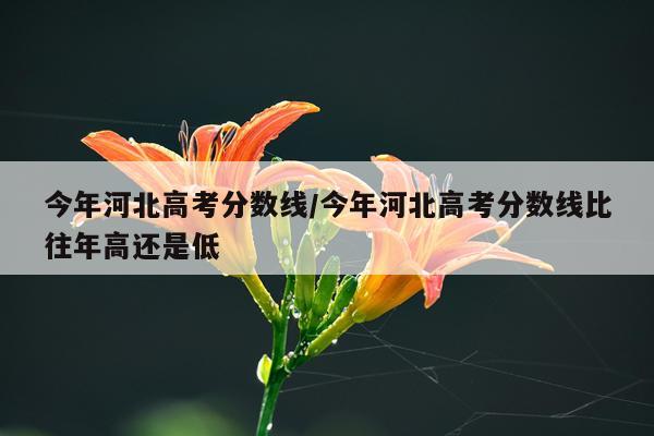 今年河北高考分数线/今年河北高考分数线比往年高还是低