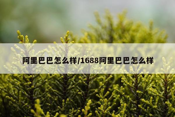 阿里巴巴怎么样/1688阿里巴巴怎么样