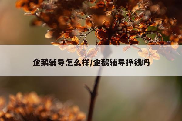 企鹅辅导怎么样/企鹅辅导挣钱吗