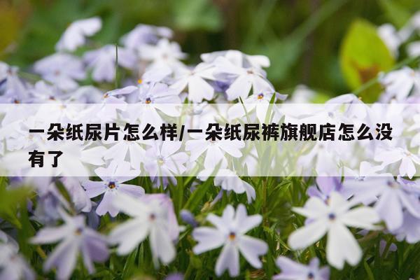 一朵纸尿片怎么样/一朵纸尿裤旗舰店怎么没有了