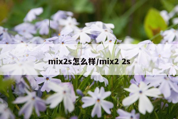 mix2s怎么样/mix2 2s