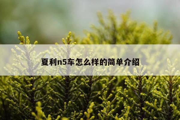 夏利n5车怎么样的简单介绍