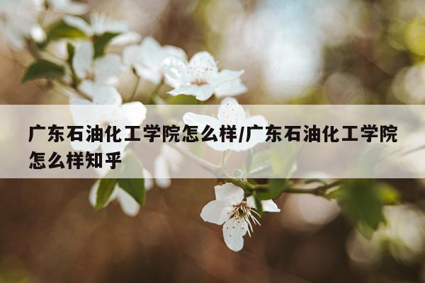 广东石油化工学院怎么样/广东石油化工学院怎么样知乎