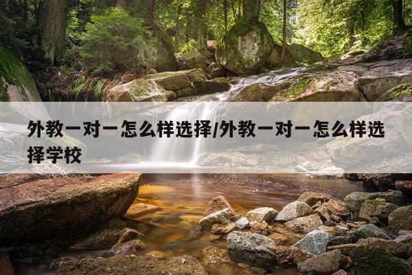 外教一对一怎么样选择/外教一对一怎么样选择学校