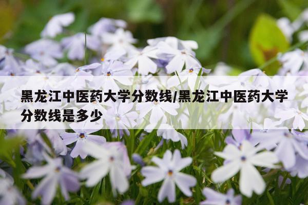 黑龙江中医药大学分数线/黑龙江中医药大学分数线是多少