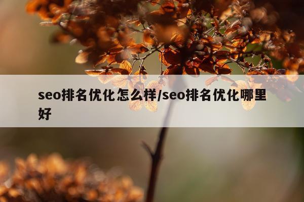 seo排名优化怎么样/seo排名优化哪里好