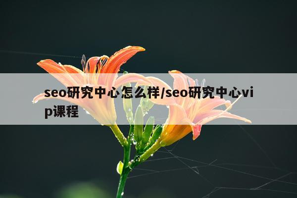 seo研究中心怎么样/seo研究中心vip课程