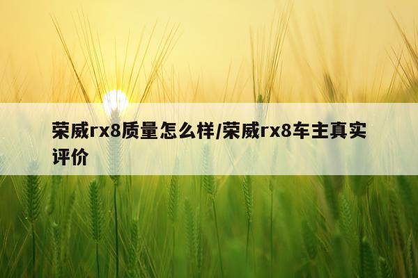 荣威rx8质量怎么样/荣威rx8车主真实评价