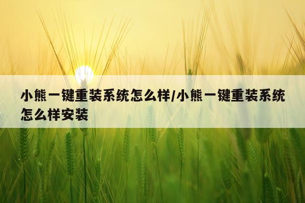 小熊一键重装系统怎么样/小熊一键重装系统怎么样安装
