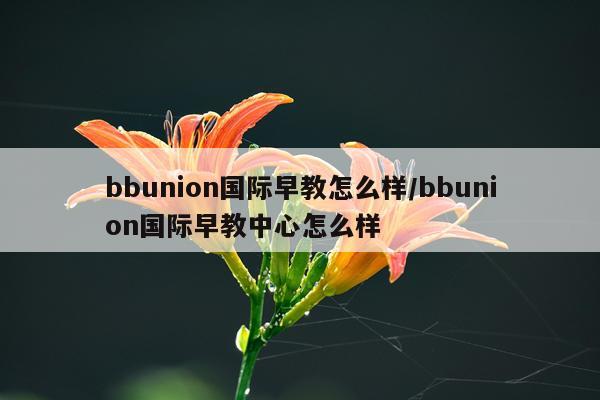 bbunion国际早教怎么样/bbunion国际早教中心怎么样
