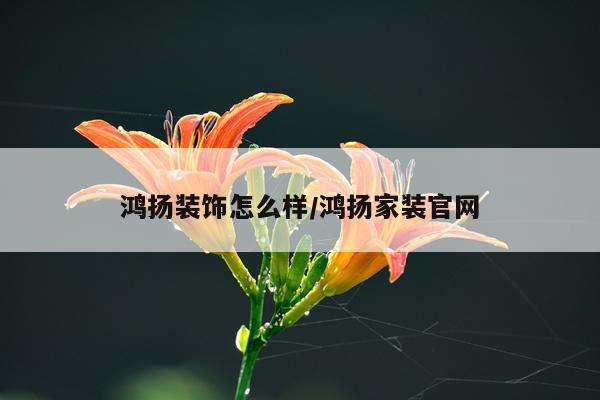 鸿扬装饰怎么样/鸿扬家装官网