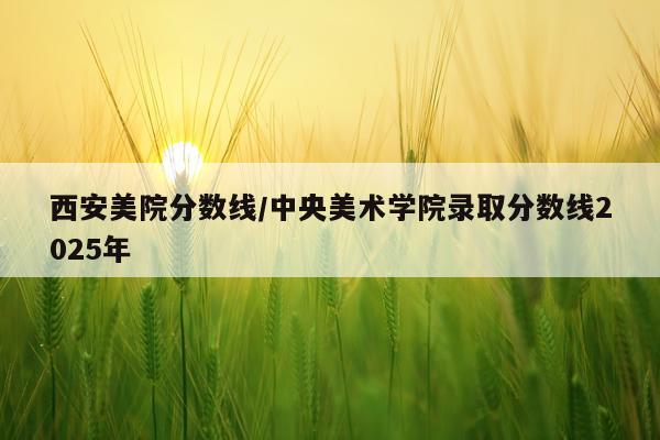 西安美院分数线/中央美术学院录取分数线2025年