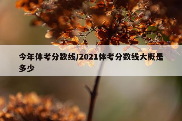 今年体考分数线/2021体考分数线大概是多少