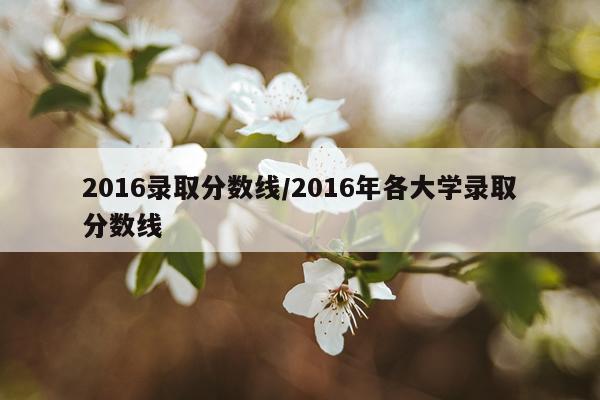 2016录取分数线/2016年各大学录取分数线