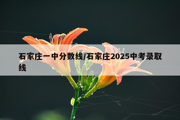 石家庄一中分数线/石家庄2025中考录取线