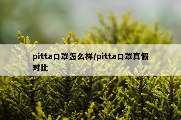pitta口罩怎么样/pitta口罩真假对比